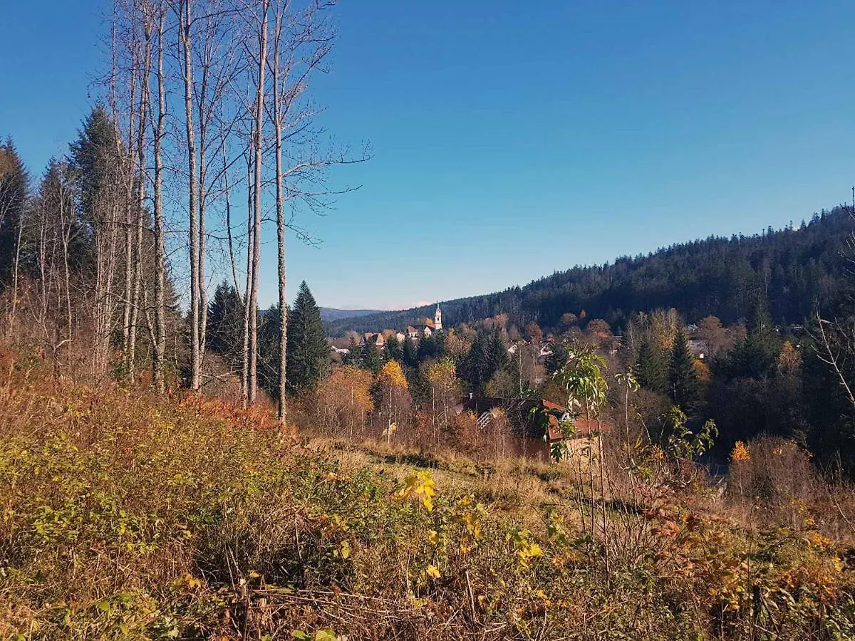 Forest Lodge Bayerisch Eisenstein Dom wakacyjny